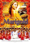 Marigold one-sheet